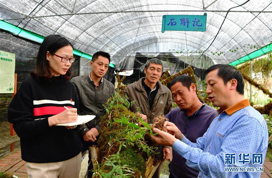 (新華全媒頭條·圖文互動(dòng))(3)全面從嚴(yán)治黨啟新局——寫在十九屆中央紀(jì)委三次全會(huì)召開之際