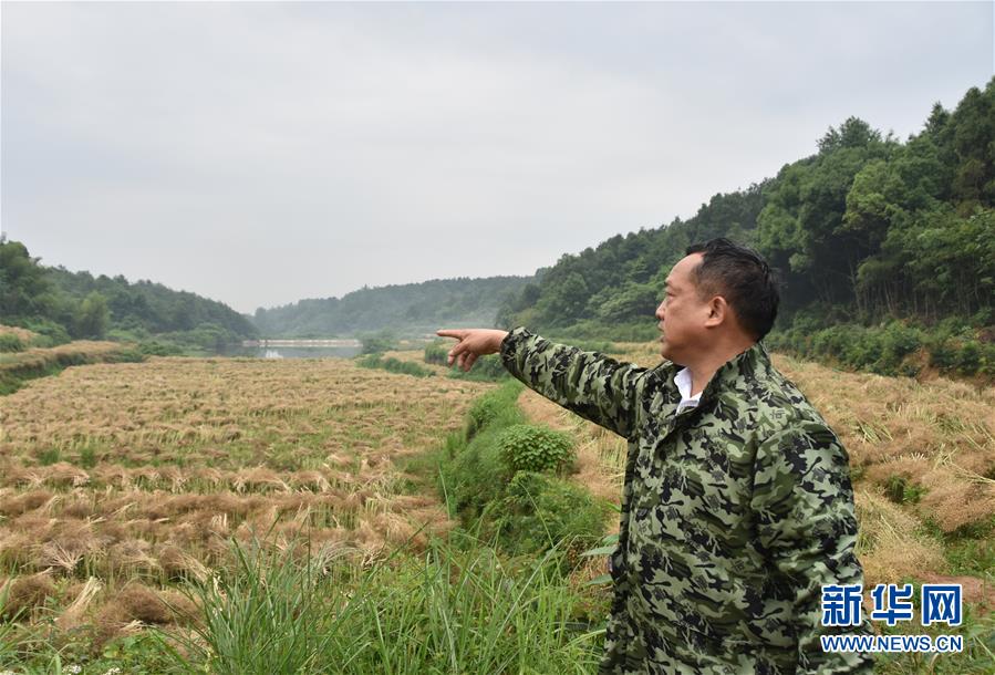 （代表委員履職·圖文互動）（2）“我是農(nóng)民代表，始終關(guān)注農(nóng)村”——全國人大代表沈昌健的履職故事
