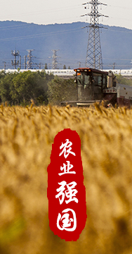 農(nóng)業(yè)強國是社會主義現(xiàn)代化強國的根基。