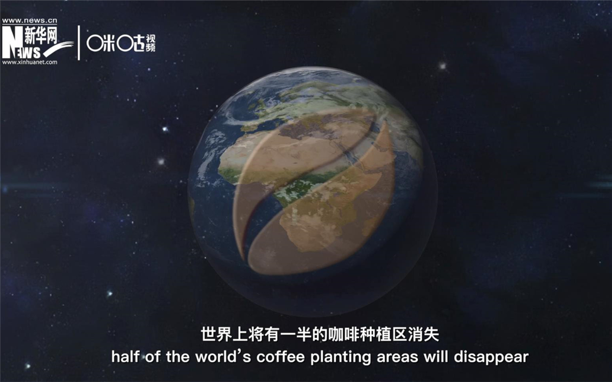 科學家預測到三十年后，世界上將有一半的咖啡種植區(qū)消失