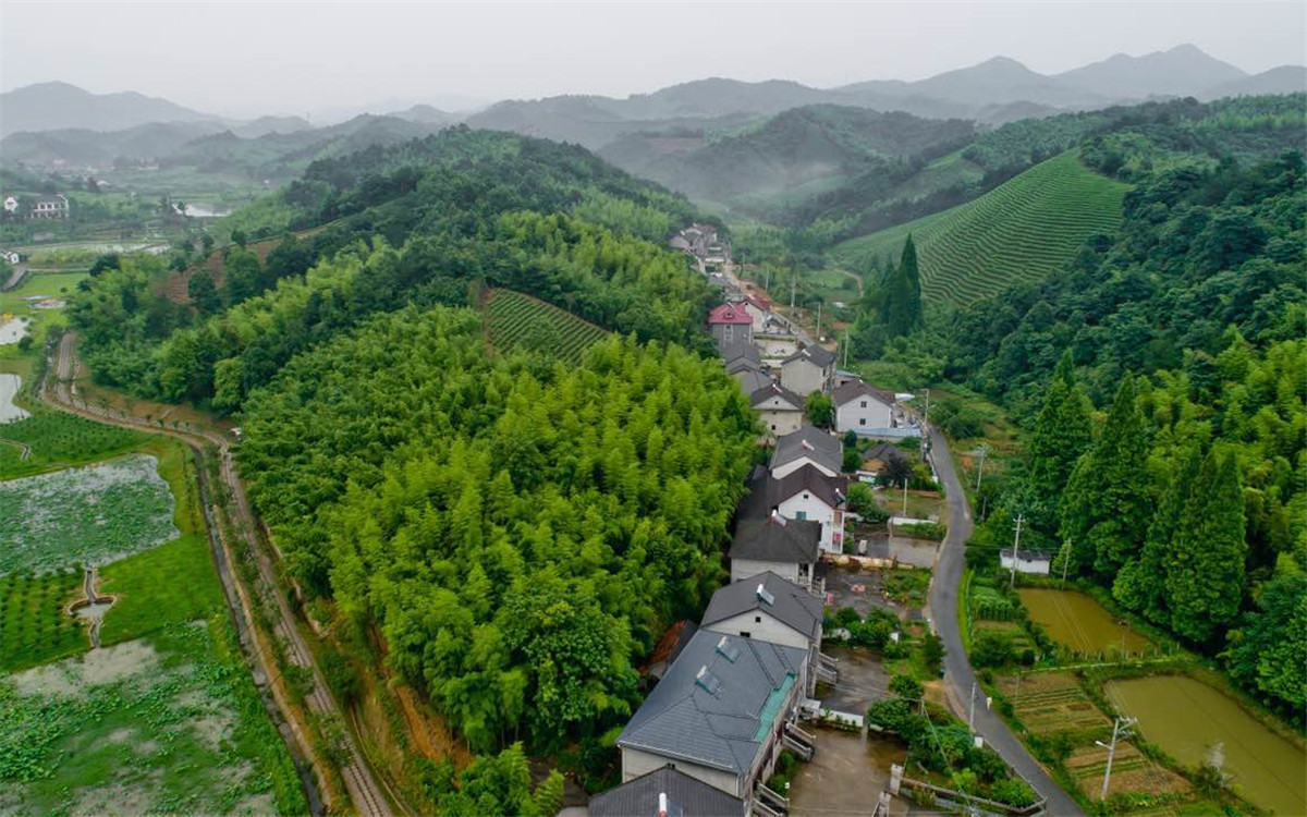 從2003年起，浙江省開(kāi)展了“千村示范、萬(wàn)村整治”工程
