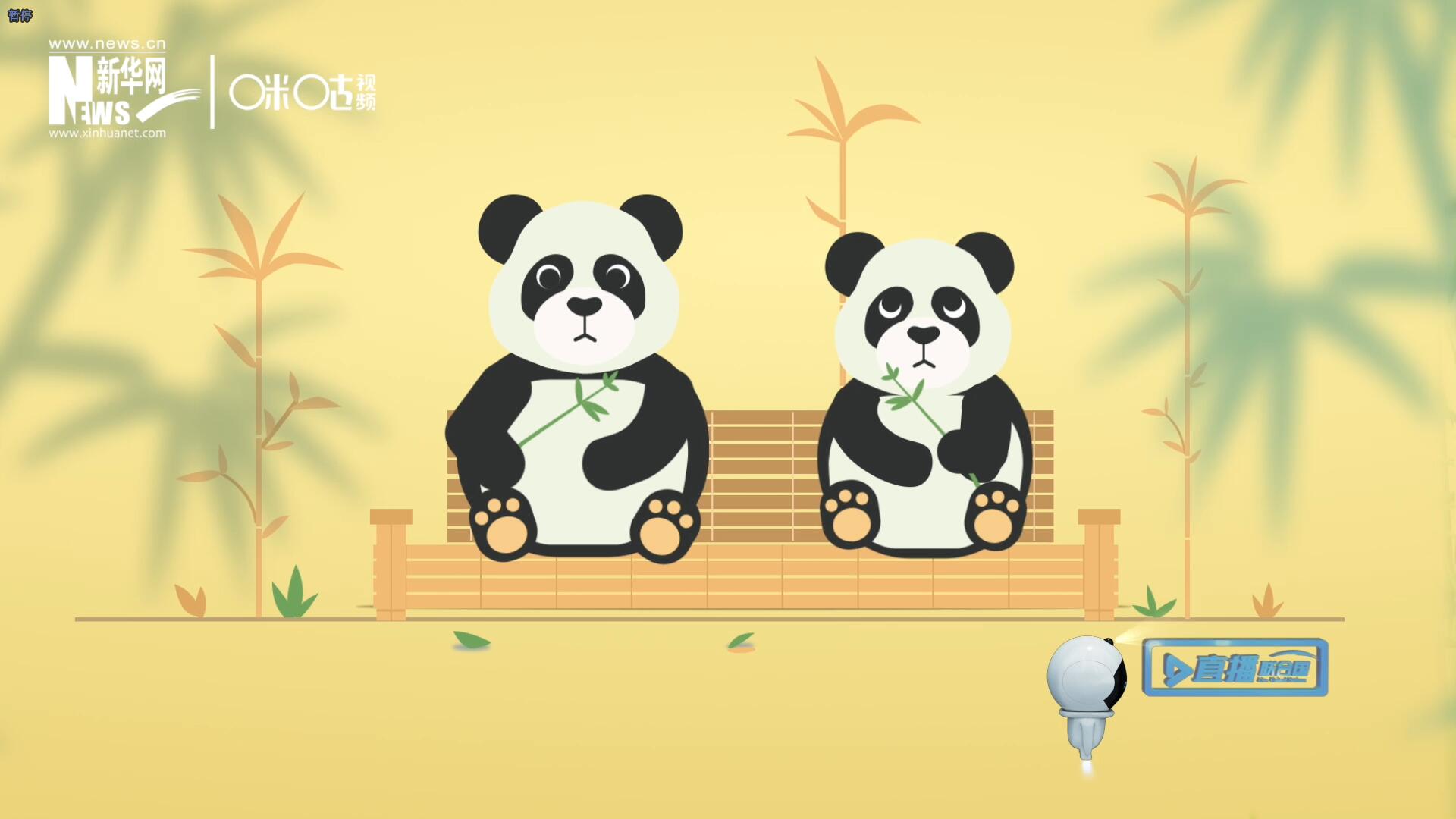 “哥哥你看，又有人來看我們了。”“有什么奇怪的，我們可是聯(lián)合國‘最萌’的大使?。?rdquo;。