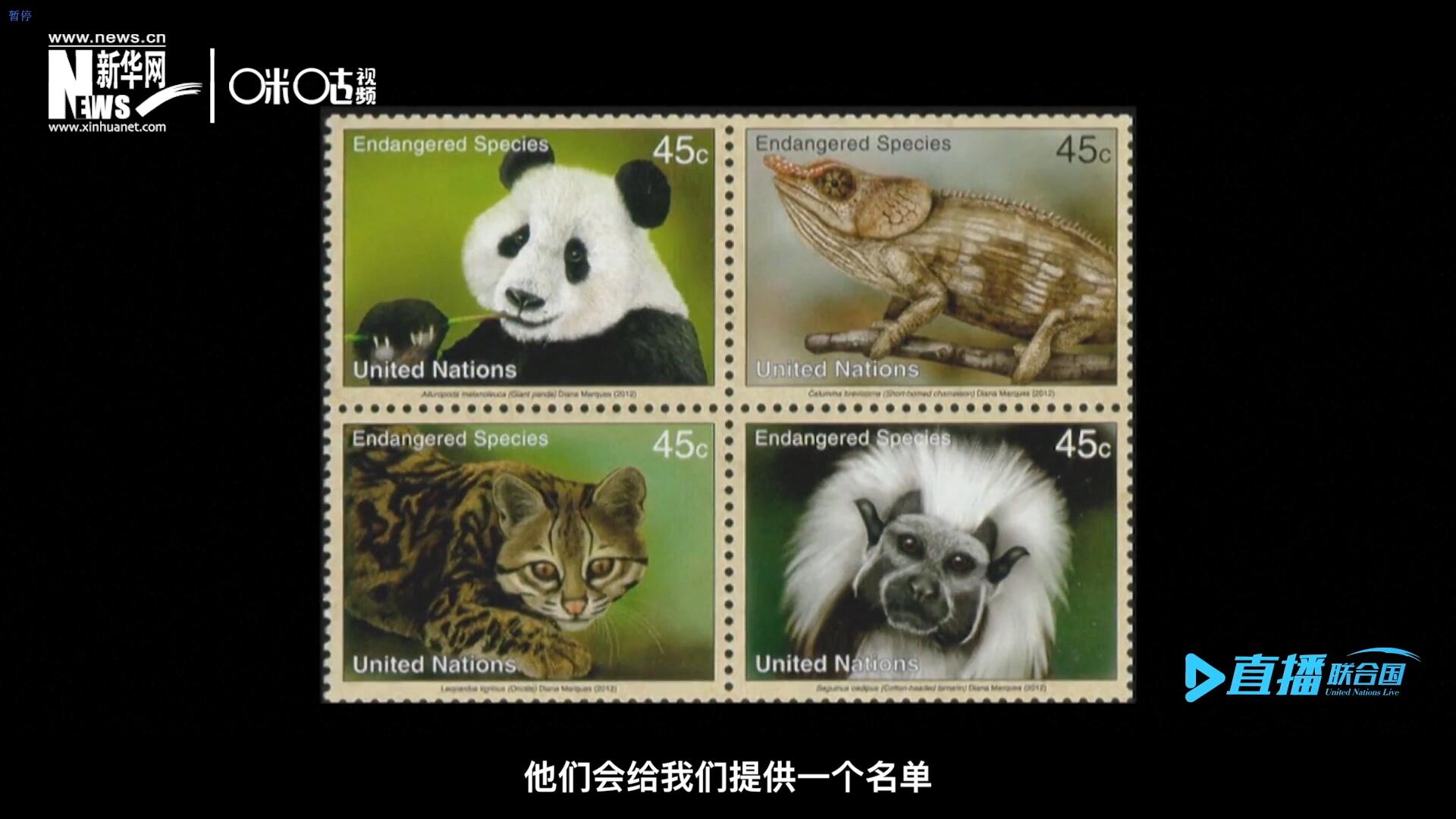 CITES（瀕危野生動(dòng)植物種國(guó)際貿(mào)易公約）會(huì)給聯(lián)合國(guó)郵政設(shè)計(jì)師提供一個(gè)名單，雙方共同合作在附錄中找到名單中應(yīng)該受到關(guān)注的動(dòng)物。