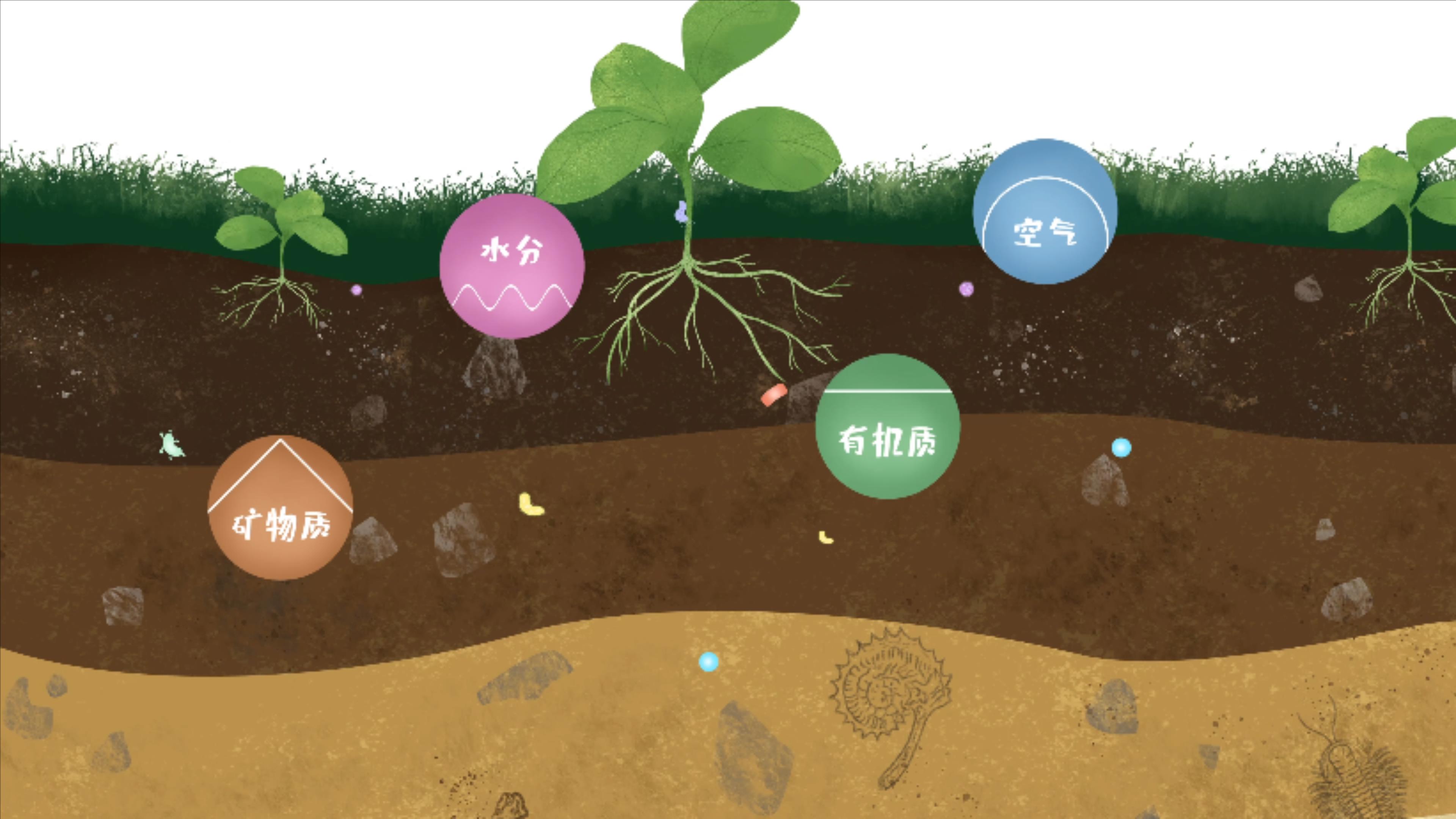 土壤由礦物質(zhì)、有機(jī)質(zhì)、水分、空氣及包括微生物在內(nèi)的生物體等組成