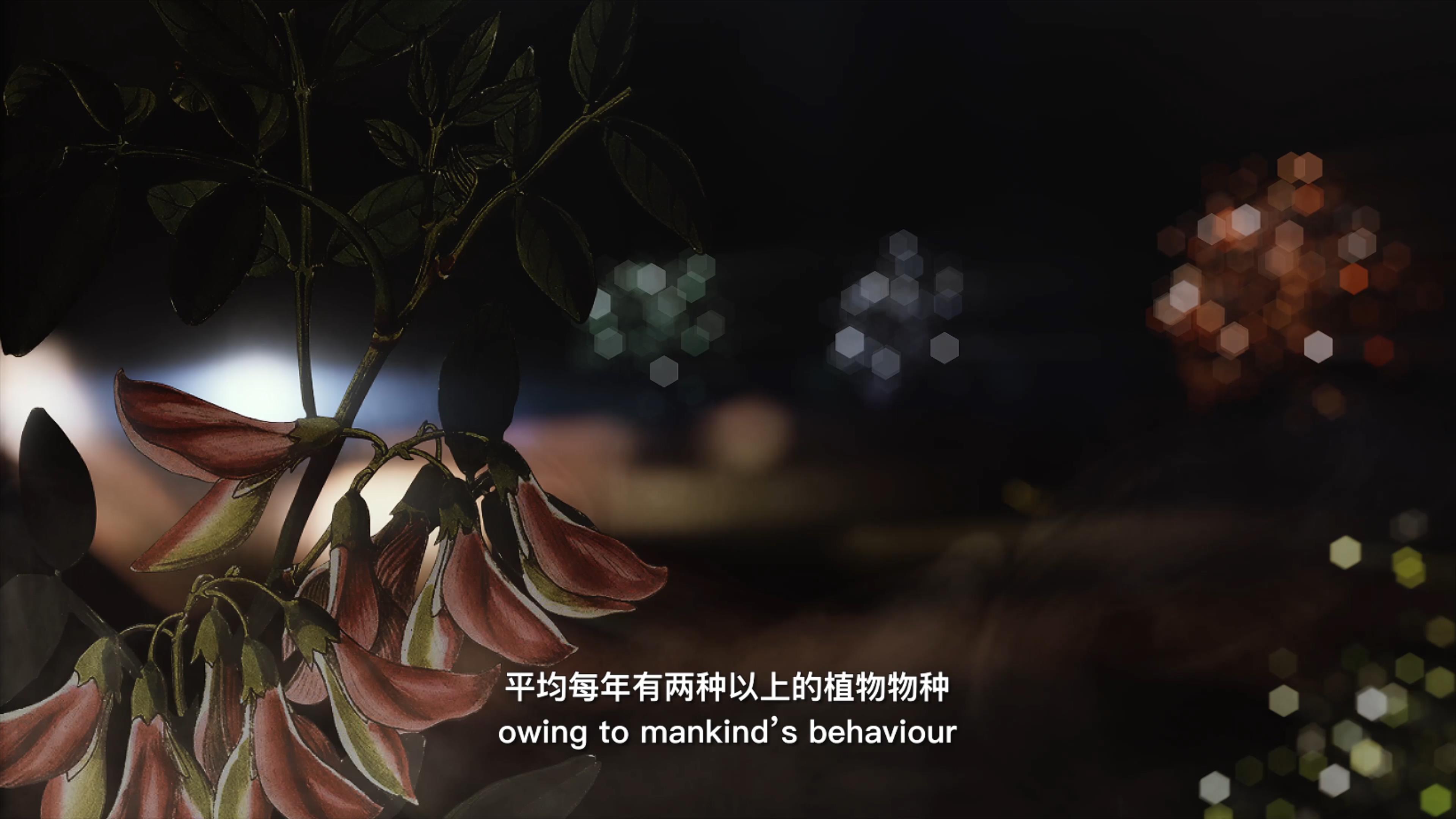 自18世紀(jì)中葉以來(lái)，許多植物物種因?yàn)槿祟惖脑蚨鴱牡厍蛏舷? />      
<div   id=