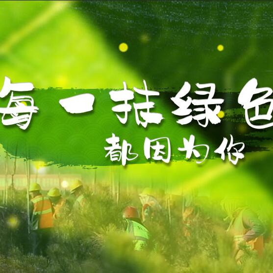 千年秀林，每一抹綠色都因為你