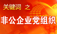 王京清：非公企業(yè)建立黨組織服務(wù)企業(yè)發(fā)展、服務(wù)員工