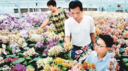 臺商眼中的改革開放：風景這邊獨好 要去，要去，要去！