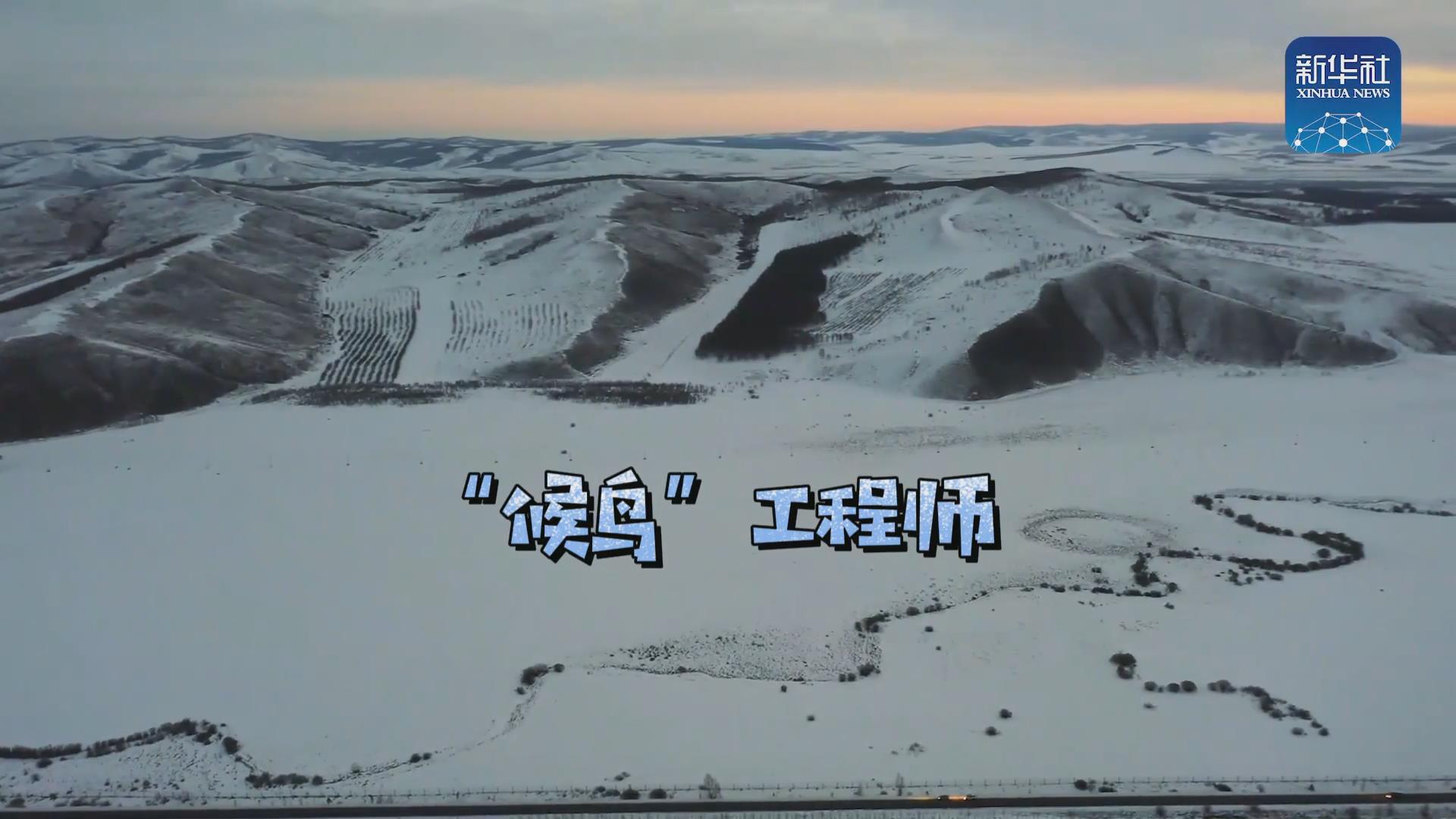 我們在奔跑丨一路向北！他是逆行的“候鳥”
